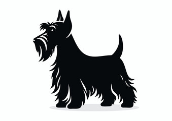 Scottish terrier dog, black and white vector silhouette