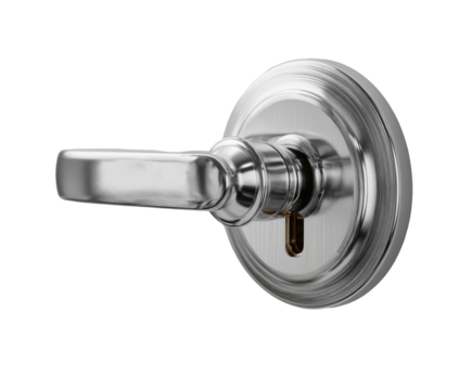 Sleek, brushed chrome door handle with a round, detailed plate