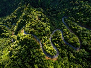 Obraz premium Aerial view of a winding road through lush green mountains (1)