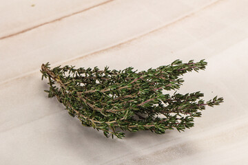 Fresh green Thyme branch isolated