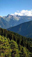 Mountain range with lush forests (1)