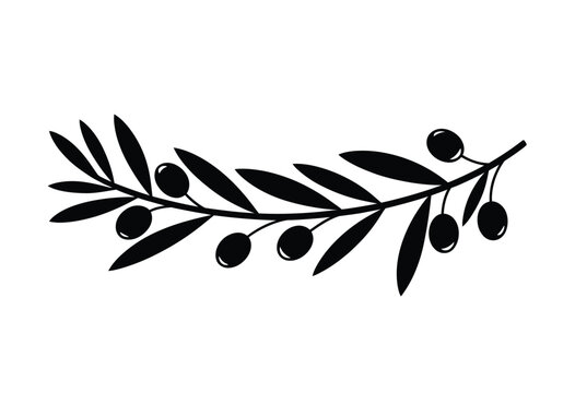 Black olive branch with leaves and fruit olives white