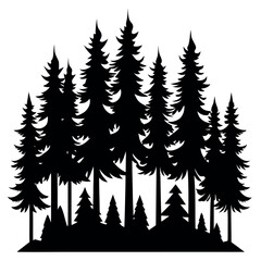 Fototapeta premium Dense pine tree forest silhouette with strong outline isolated on white background