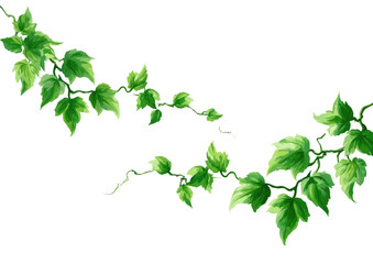 Two intertwined vines of vibrant green leaves against a black background © Dewan
