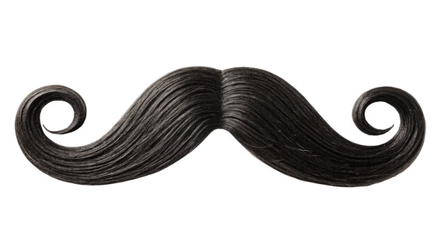black curly mustache beard isolated on white background PNG, Ai generative