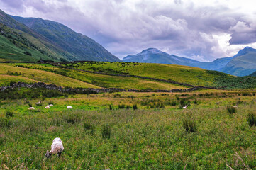 Spectacular Ben Nevis and mountain range with the remote Rannoch Moor