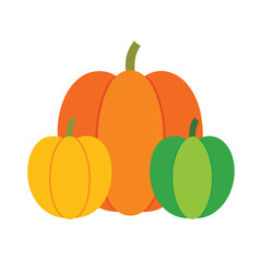 Obraz premium pumpkins in multiple sizes and colors