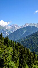 Obraz premium Mountainous landscape, lush forests