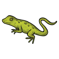 Obraz premium Green Lizard Mexican Wildlife Illustration Art