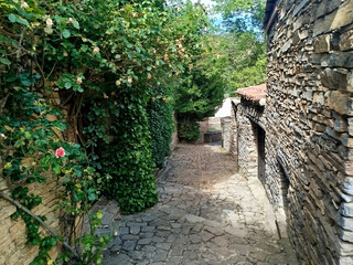Calles del Pueblo de Valdelavilla (Soria) en verano