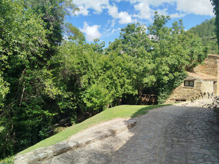 Calles del Pueblo de Valdelavilla (Soria) en verano