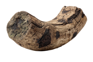 Aged driftwood texture detail nature art piece weathered timber closeup driftwood photography nature