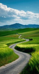 Obraz premium Winding road through verdant fields