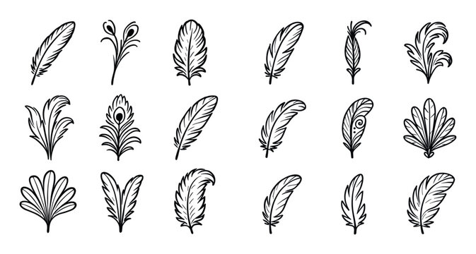 Hand-Drawn Feather Icons
