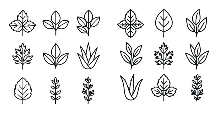 3D Low-Poly Leaf Icons