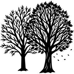 Obraz premium Two trees in autumn, one shedding leaves in the wind