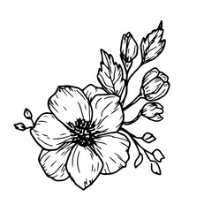 Bouquet of flowers with petals, buds and leaves, black and white sketch. vector illustration. Sprig of rosehip, isolated on background. Theme of spring, summer, for birthday, wedding, textile decor