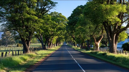 Fototapeta premium A serene tree-lined road stretches into the distance, framed by lush greenery, inviting a sense of peace and tranquility.