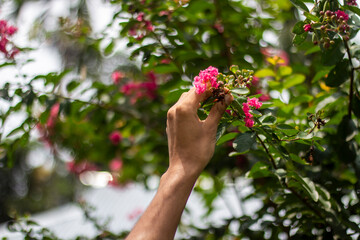 A man holds a red flower, and the background is blurred