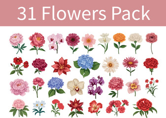 beautiful collection of 31 vibrant flowers for elegant designs and creative projects, blossoms and petals