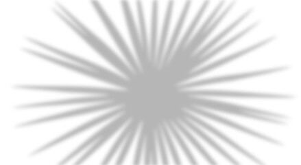 Obraz premium Realistic fan palm leaf shadow overlay. Natural tropical silhouette isolated on transparent white background. Design element for summer spring project or abstract background.