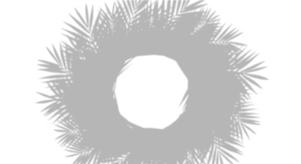 Realistic round palm leaf shadow frame. Natural tropical foliage silhouette isolated on transparent white background with central circular copy space. Design element for summer spring project.