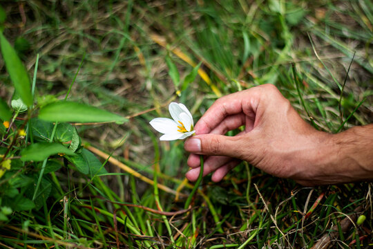 A man holds a white flower, and the background is blurred