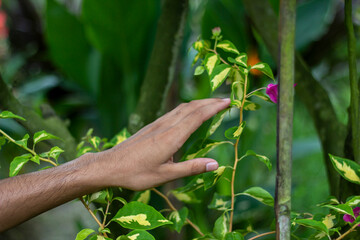 A man holds a pink flower, and the background is blurred