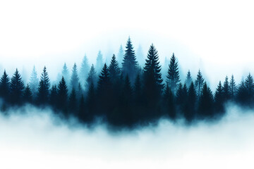 misty forest in the morning