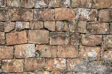 A brick wall with moss growing on it