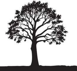 tree silhouette Vector | Minimalist & Trendy tree Silhouette Design | Unique & Stylish tree Artwork for Vector design	
