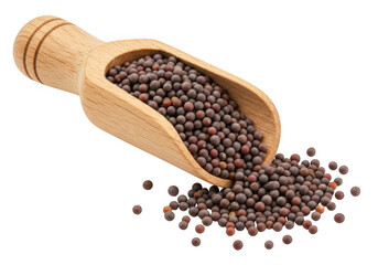 Wooden scoop filled with black peppercorns isolated on transparent background