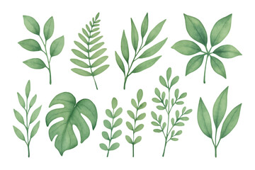 watercolor green plant leaves collection