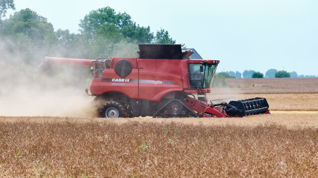 Summer harvest with red Case IH 9230 combine harvesting wheat behind legume crop in Sk&aring;ne, Sweden, with trail of dust and trees in the background, under cloudy sky