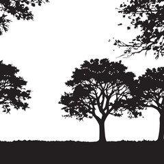tree silhouette Vector | Minimalist & Trendy tree Silhouette Design | Unique & Stylish tree Artwork for Vector design	