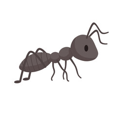 Single Ant Illustration
