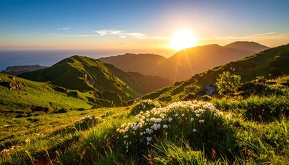 Vibrant sunset over rolling green hills and a field of wildflowers