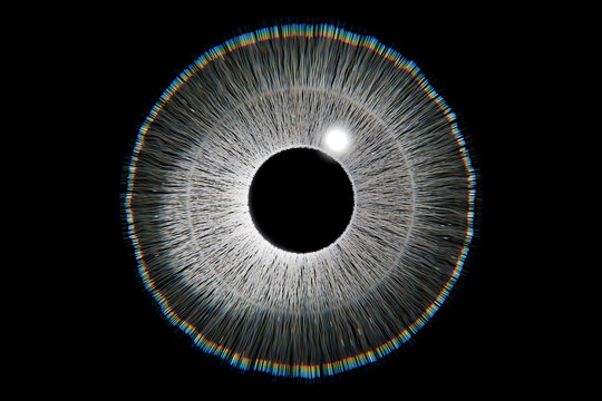Abstract 3d digital render of eye and particles on black background