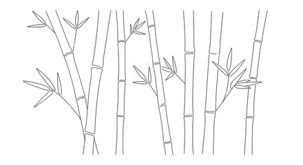Line art illustration features bamboo shoots on a bright backdrop, ideal for minimalist design or poster art.