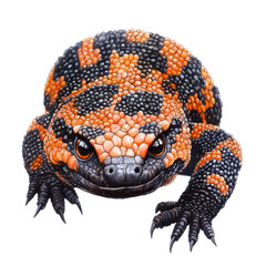 Obraz premium watercolor leopard gecko clipart