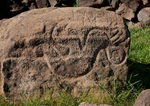 Petroglyph in rano kau, Easter Island, Hanga Roa, Chile