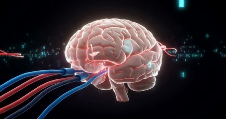 Futuristic brain illustration with neural connections - Powered by Adobe