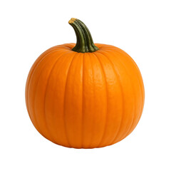 Obraz premium Pumpkin transparent image, autumn thanksgiving theme