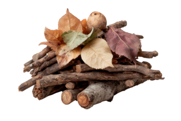 Autumn s embrace sticks leaves and seasonal charm perfect for fall projects craft designs and on transparent background