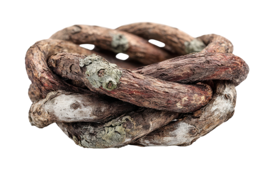 Woven Rustic Vine Ring Brown Twigs Intertwined in Circular Knot Organic Texture Natural on transparent background