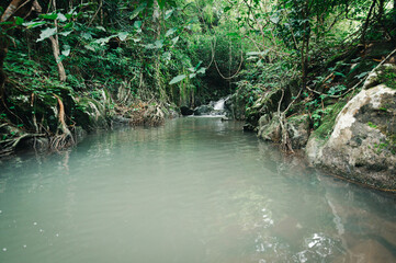 Serene Waterfall Scene Surrounded by Lush Greenery in Nature