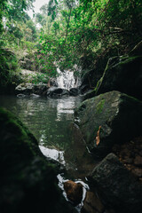 Serene Waterfall Scene Surrounded by Lush Greenery in Nature