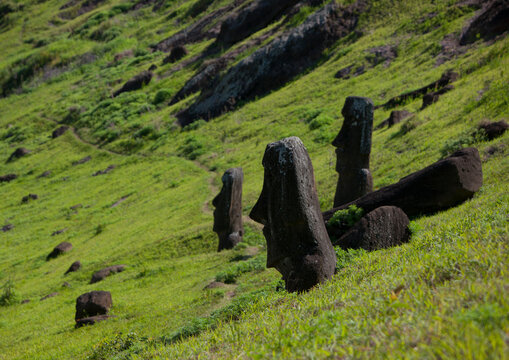 Moais in rano raraku, Easter Island, Hanga Roa, Chile