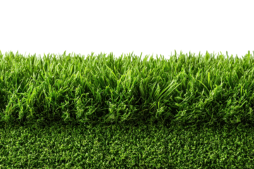 Lush Green Turf Texture Landscape Backdrop for Gardening Lawn Care and Outdoor Scenes Isolated On Transparent Background
