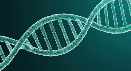 A 3D rendering of a teal DNA double helix against a dark teal background